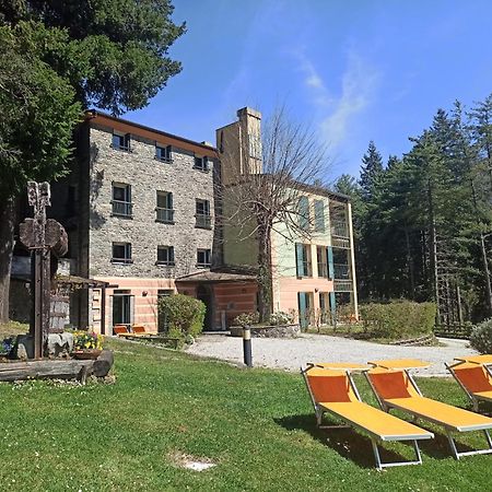 Il Bosco Di Campo Marzano Studios Borzonasca Ngoại thất bức ảnh