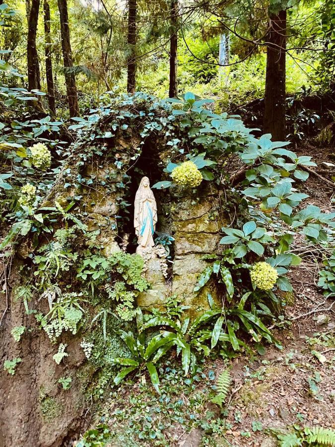 Il Bosco Di Campo Marzano Studios Borzonasca Ngoại thất bức ảnh