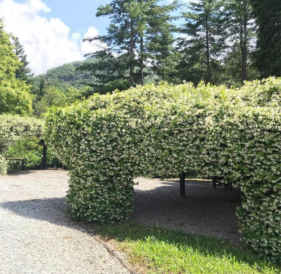 Il Bosco Di Campo Marzano Studios Borzonasca Ngoại thất bức ảnh