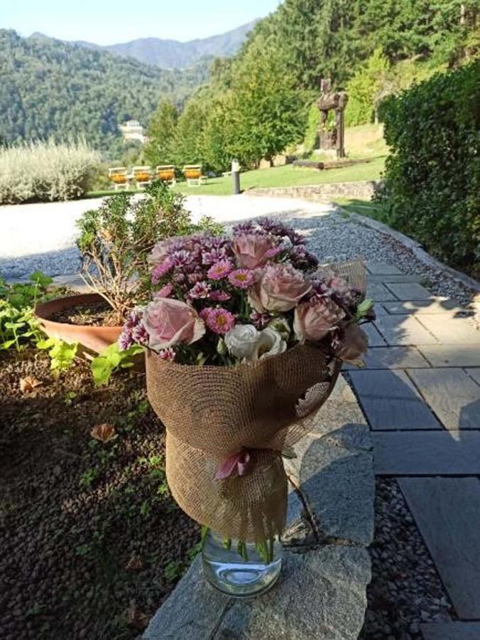 Il Bosco Di Campo Marzano Studios Borzonasca Ngoại thất bức ảnh