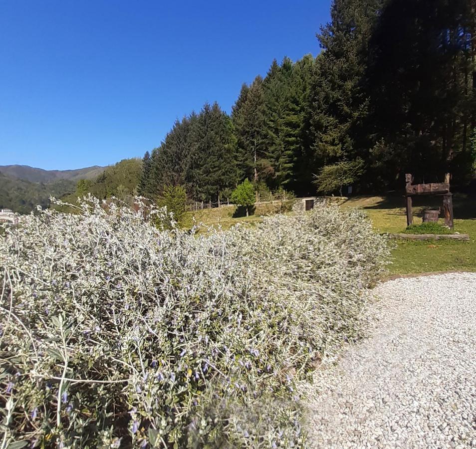 Il Bosco Di Campo Marzano Studios Borzonasca Ngoại thất bức ảnh