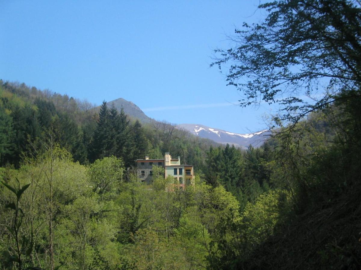 Il Bosco Di Campo Marzano Studios Borzonasca Ngoại thất bức ảnh