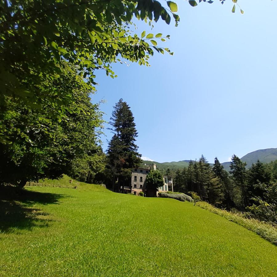 Il Bosco Di Campo Marzano Studios Borzonasca Ngoại thất bức ảnh
