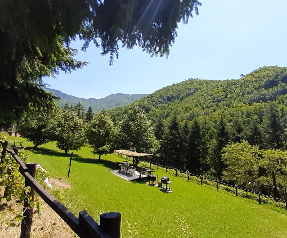 Il Bosco Di Campo Marzano Studios Borzonasca Ngoại thất bức ảnh